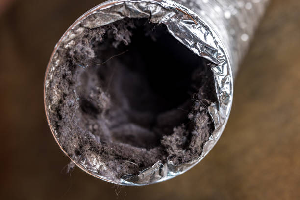 Best HVAC System Cleaning  in Avenel, NJ